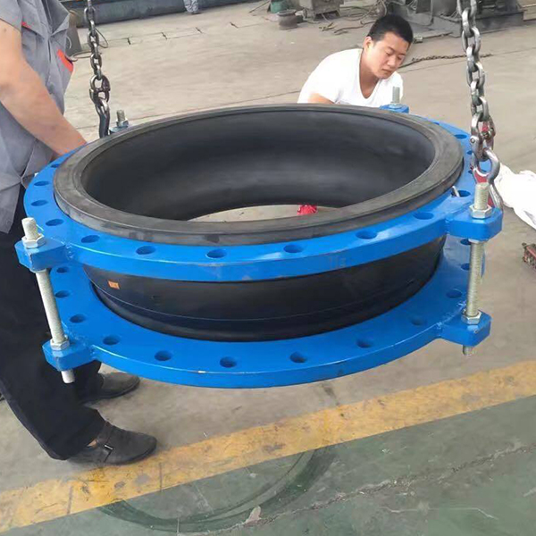 �V�|�͑��������z���^�����